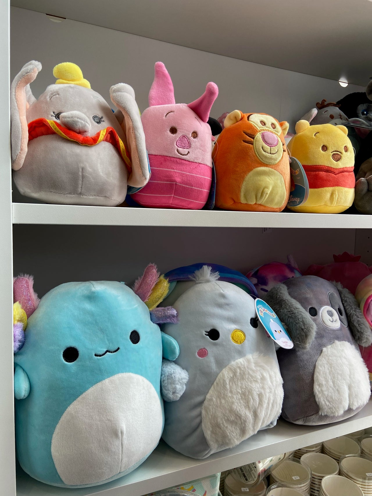 Squishmallows: Cuddly Characters That'll Steal Your Heart