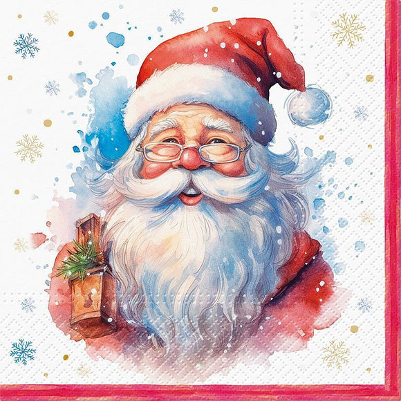 Santa Claus Portrait Napkins