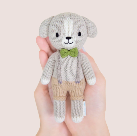 Tiny Noah the Dog