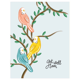 Parakeets Get Well - Greeting Card - 0