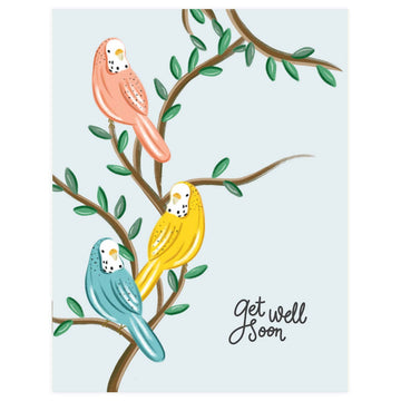 Parakeets Get Well - Greeting Card - 0