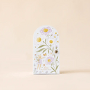 Tiny Olivia the Honey Bear-3