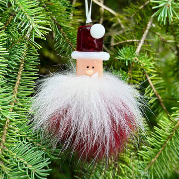 Hairy Santa Claus