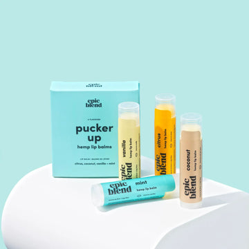 Pucker Up Hemp Lip Balm 4-Pack Kit/Bundle - Pucker Up handmade hemp lip balm 4-pack with pastel blue box, unique Canadian gift set.