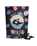 Oakley the Orca DIY Air Dry Clay Kit - Arts & Craft Kit-1