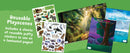 Animals Sticker Activity Book-4