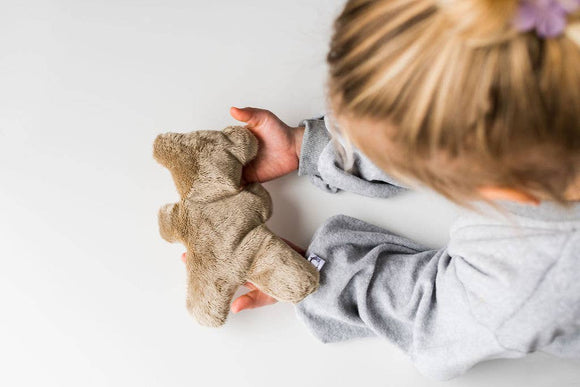 Hot/Cold Therapy Bear