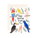 Birds Bird-Day - Greeting Card-1