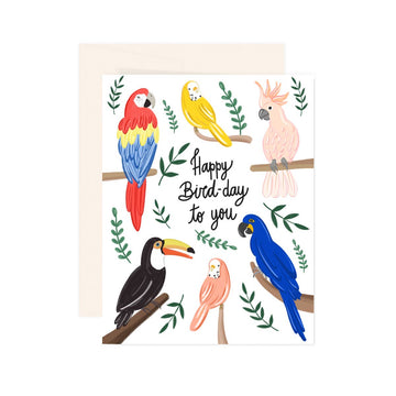 Birds Bird-Day - Greeting Card