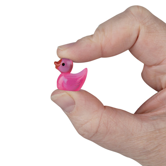Curiosities Teeny Tiny Ducks (40pc Bag)