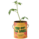 You Got the Sauce - Cherry Tomato Plant Kit-2