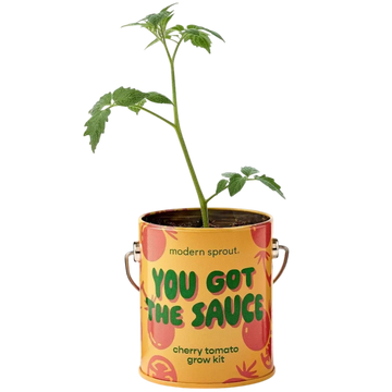 You Got the Sauce - Cherry Tomato Plant Kit - 0