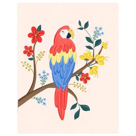 Macaw - Greeting Card - 0