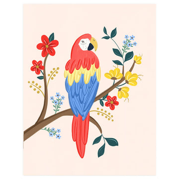 Macaw - Greeting Card - 0