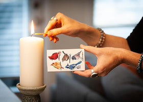 North American Birds Matches- 45 Sticks - 0