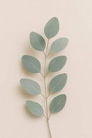 Lavender Eucalyptus Pocket Hand Sanitizer-4