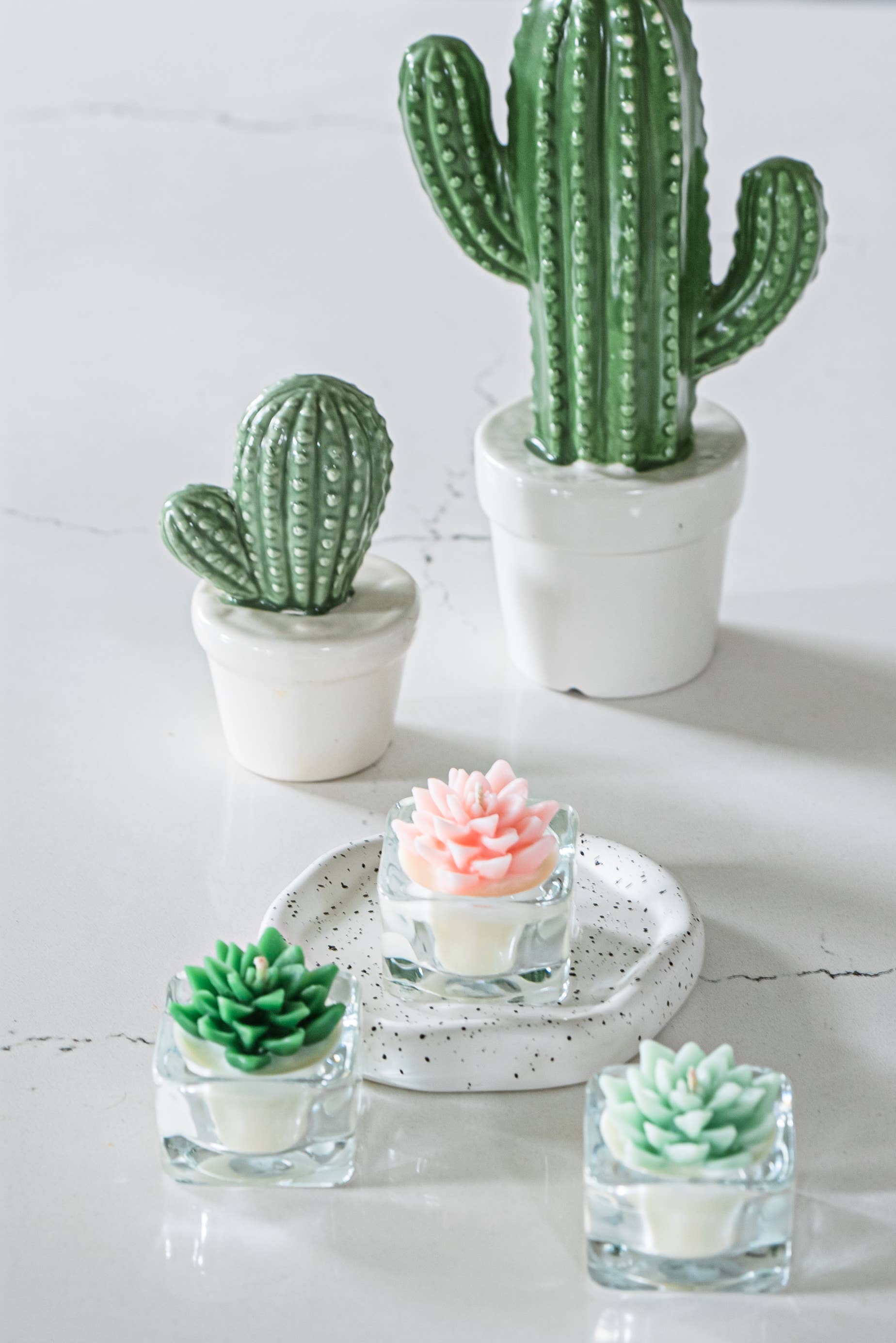 Succulent Tealight Candles | Soy Blend: Hens and Chick Succulent / Green