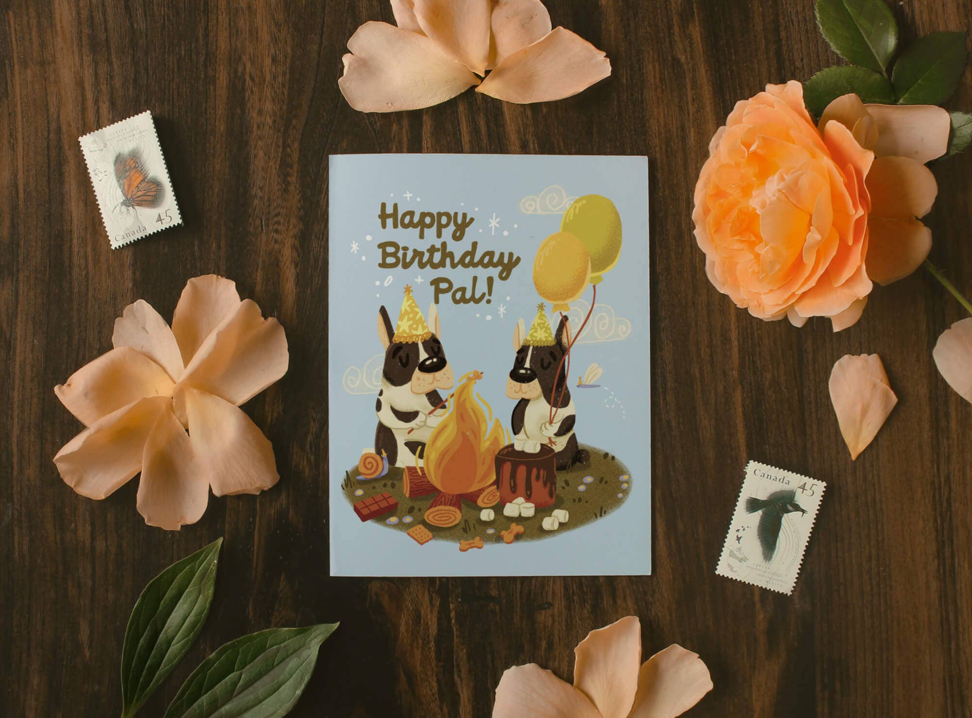 Campfire Birthday - Illustrated Birthday Card - 0