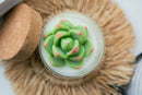 Succulent Soy Candle | Soy Blend-6