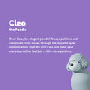 Poodle Bestie Bottle-2