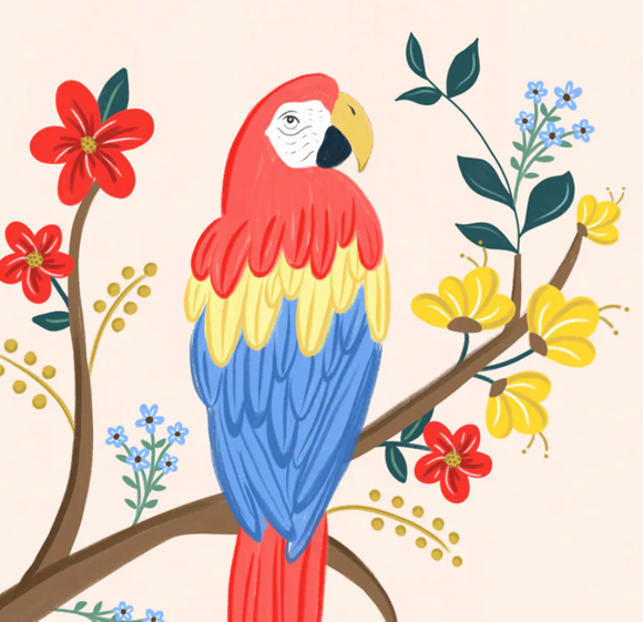 Macaw - Greeting Card