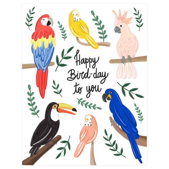 Birds Bird-Day - Greeting Card