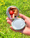 TINTED Pineapple Lip Balm-7