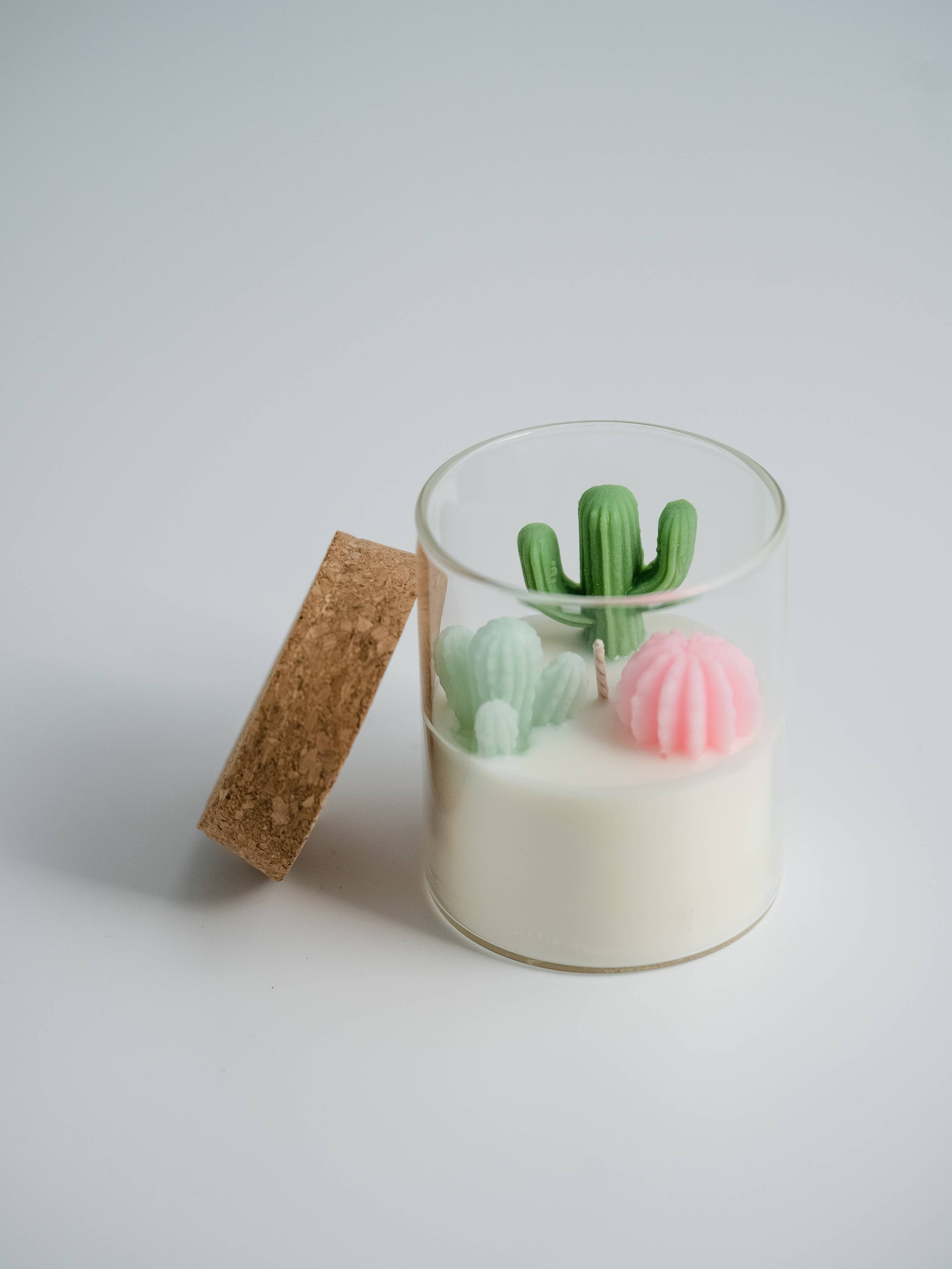 Cactus Candle | Soy Blend Candle: Beach Vibe - 0