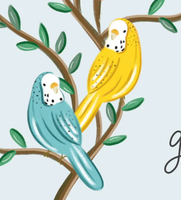 Parakeets Get Well - Greeting Card