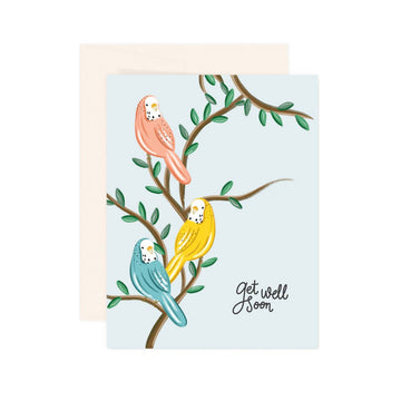 Parakeets Get Well - Greeting Card