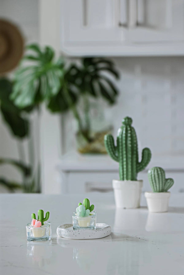 Cactus & Succulent Tealight Candles | Soy Wax Blend: Style C