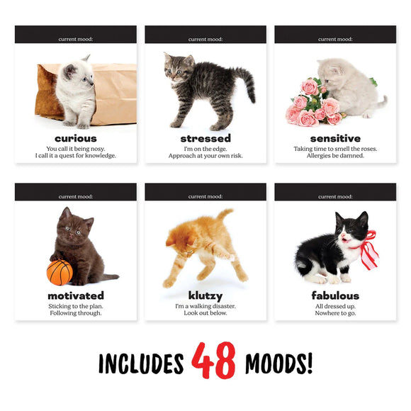 Daily Cattitudes Desktop Flip Book