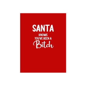Santa knows you've been a bitch Christmas Card