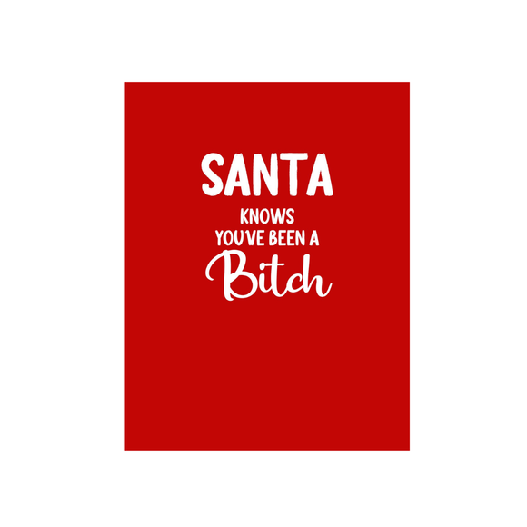Santa knows you've been a bitch Christmas Card