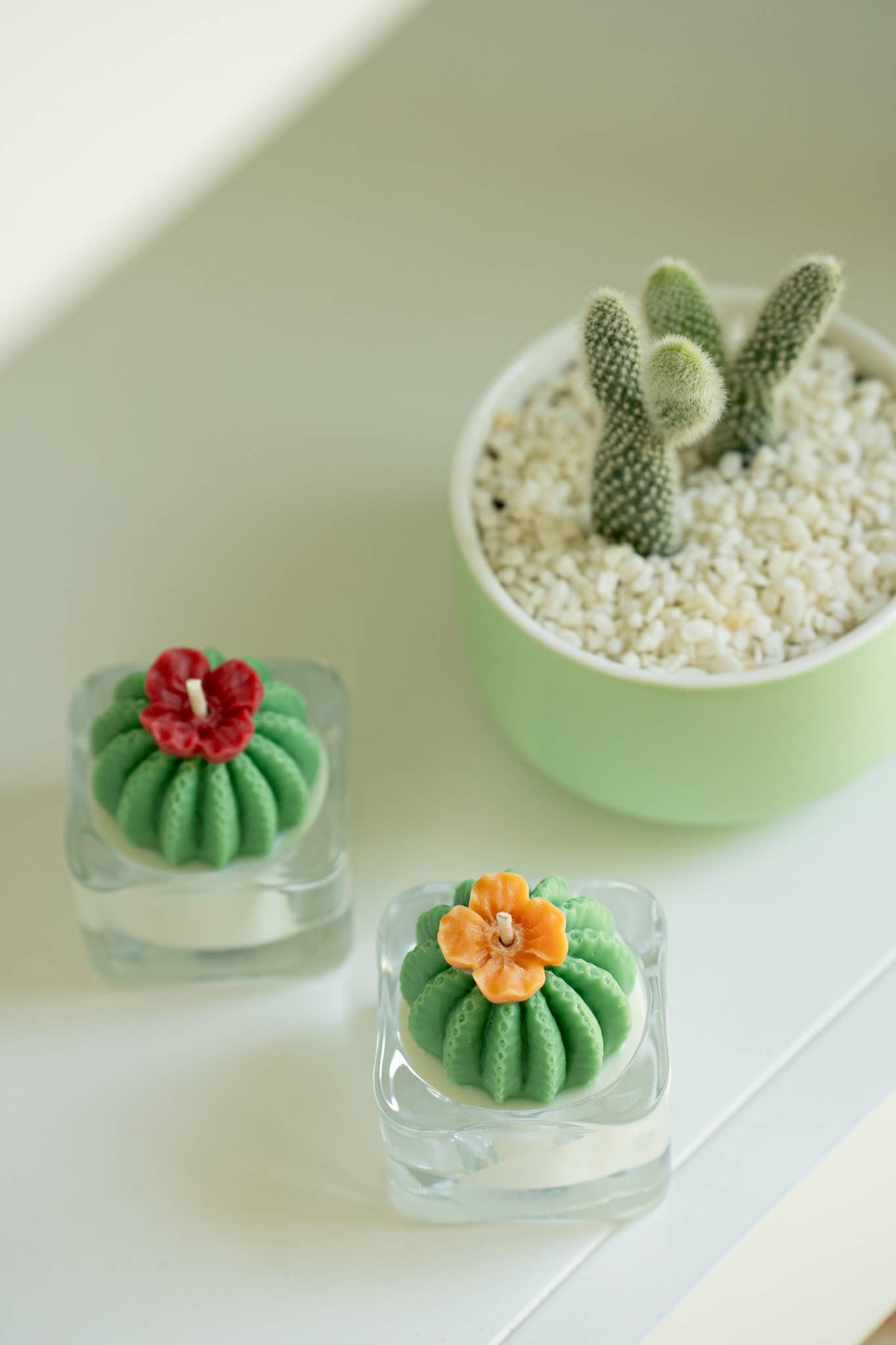 Barrel Cactus Tealight Candles