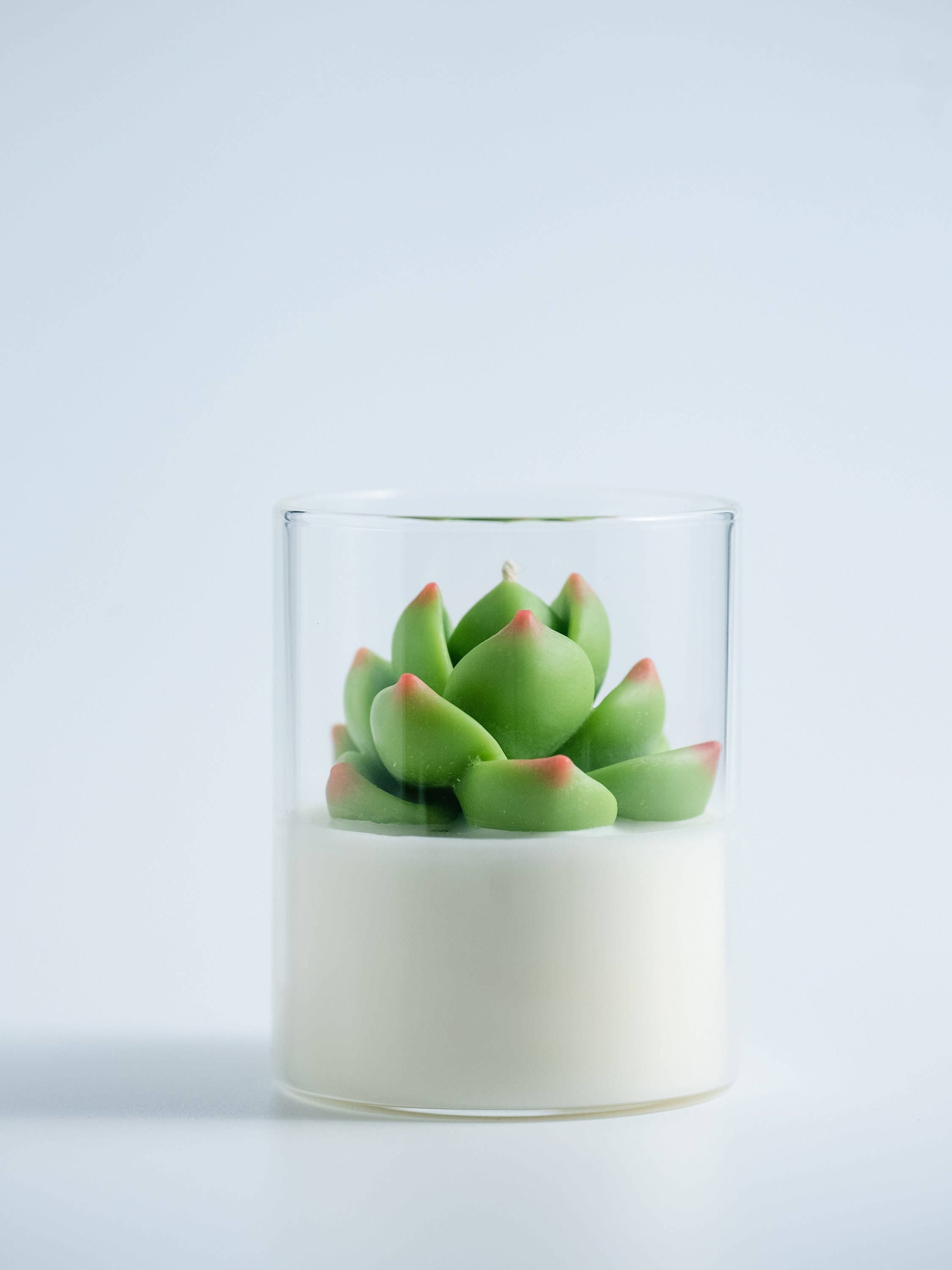 Succulent Soy Candle | Soy Blend