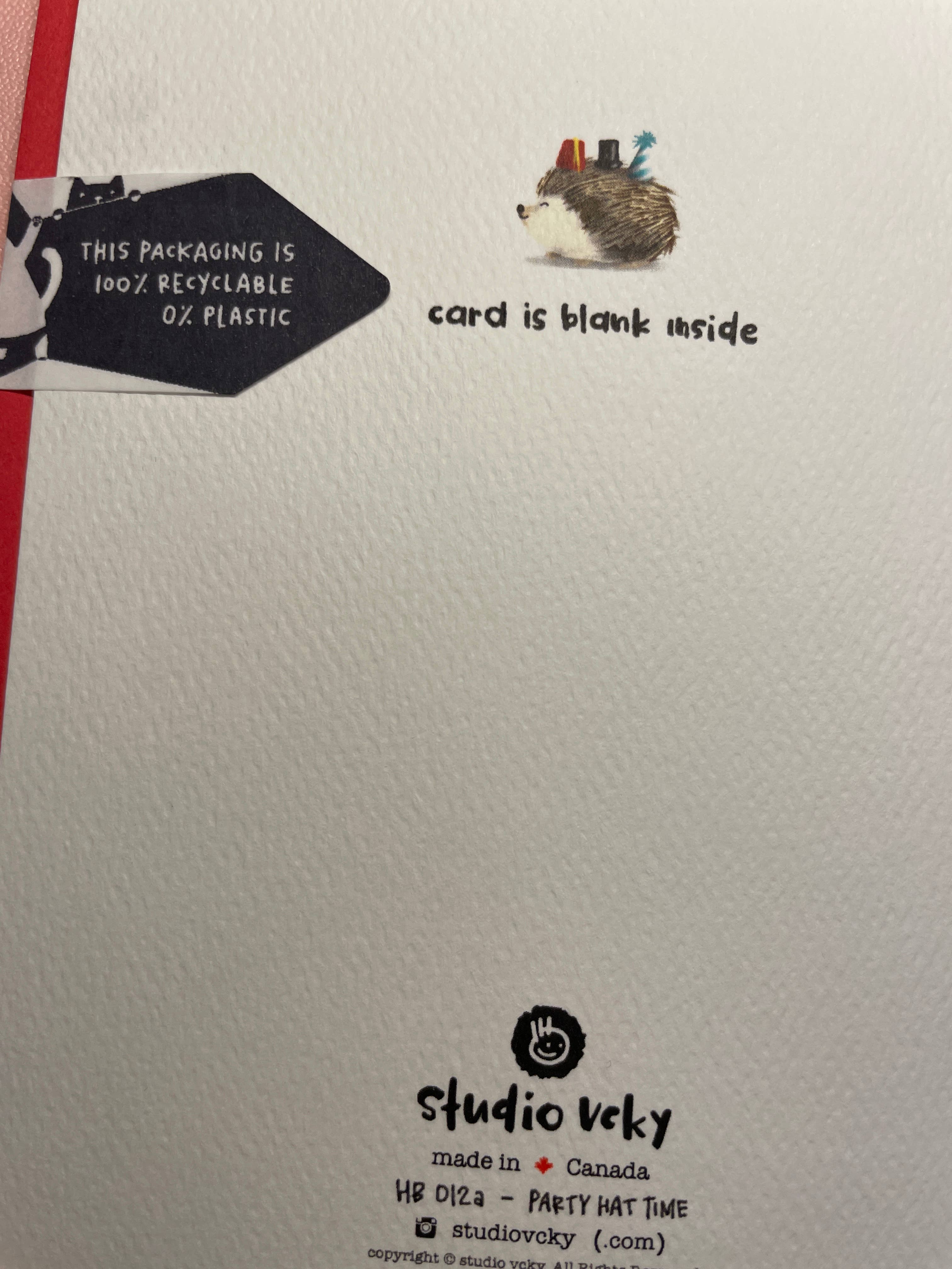 Greeting Card - Party Hat Time Hedgehog