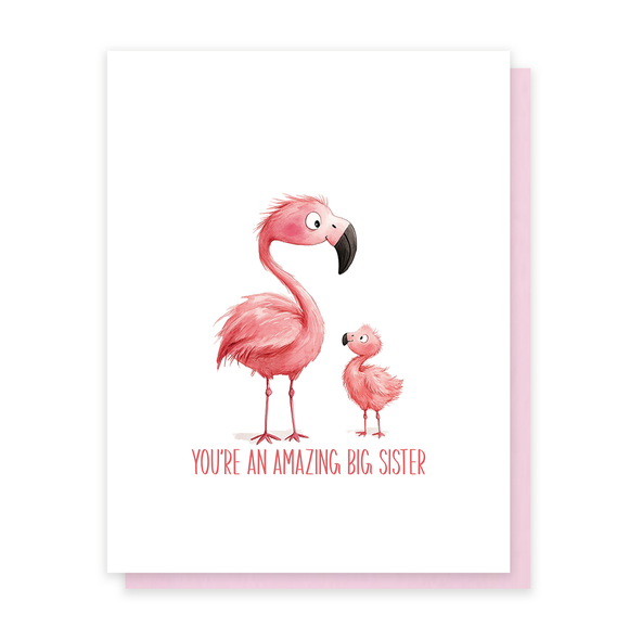 Amazing Big Sister, Affirmation Greeting Card