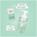 Eucalyptus Mint Concentrated Foaming Hand Soap Tablet-4