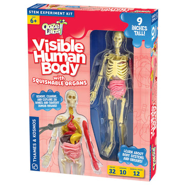 Ooze Labs: Visible Human Body With Squishable Organs - Ooze Labs Visible Human Body STEM kit with squishable organs, unique handmade Canadian gift for kids.