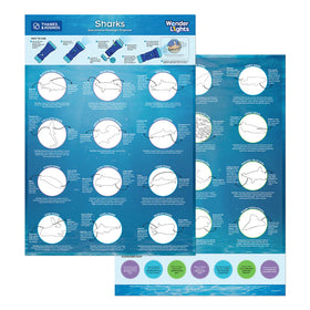 Wonder Lights: Sharks - Educational Flashlight Projector - 0