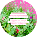 Flower Stems-5