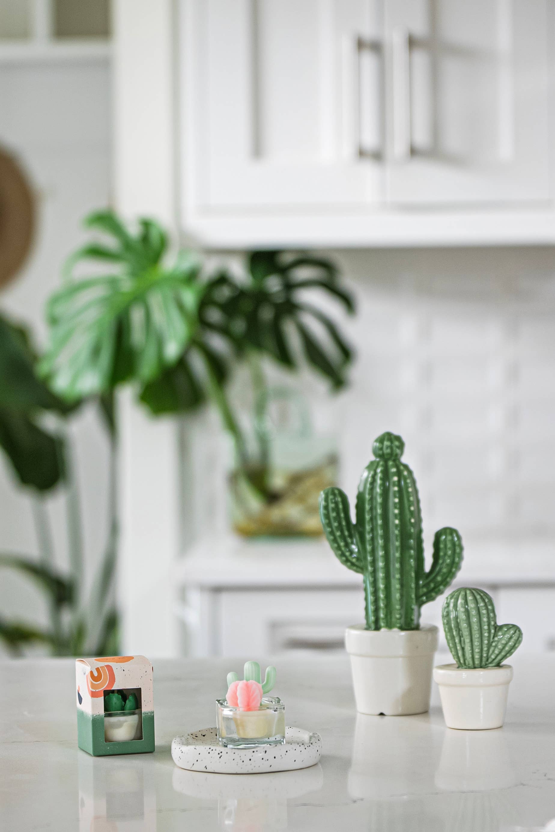 Cactus Tealight Candles | Soy Wax Blend