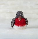 Needle Felted Robin Bird Ornament-1