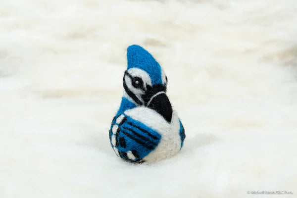 Needle Felted Blue Jay