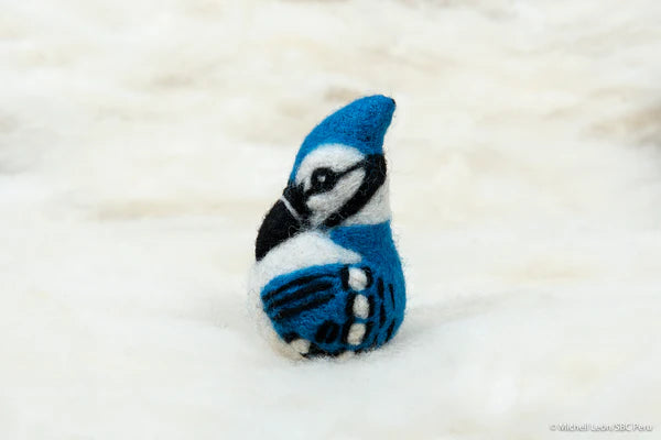 Needle Felted Blue Jay