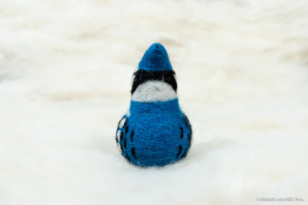 Needle Felted Blue Jay