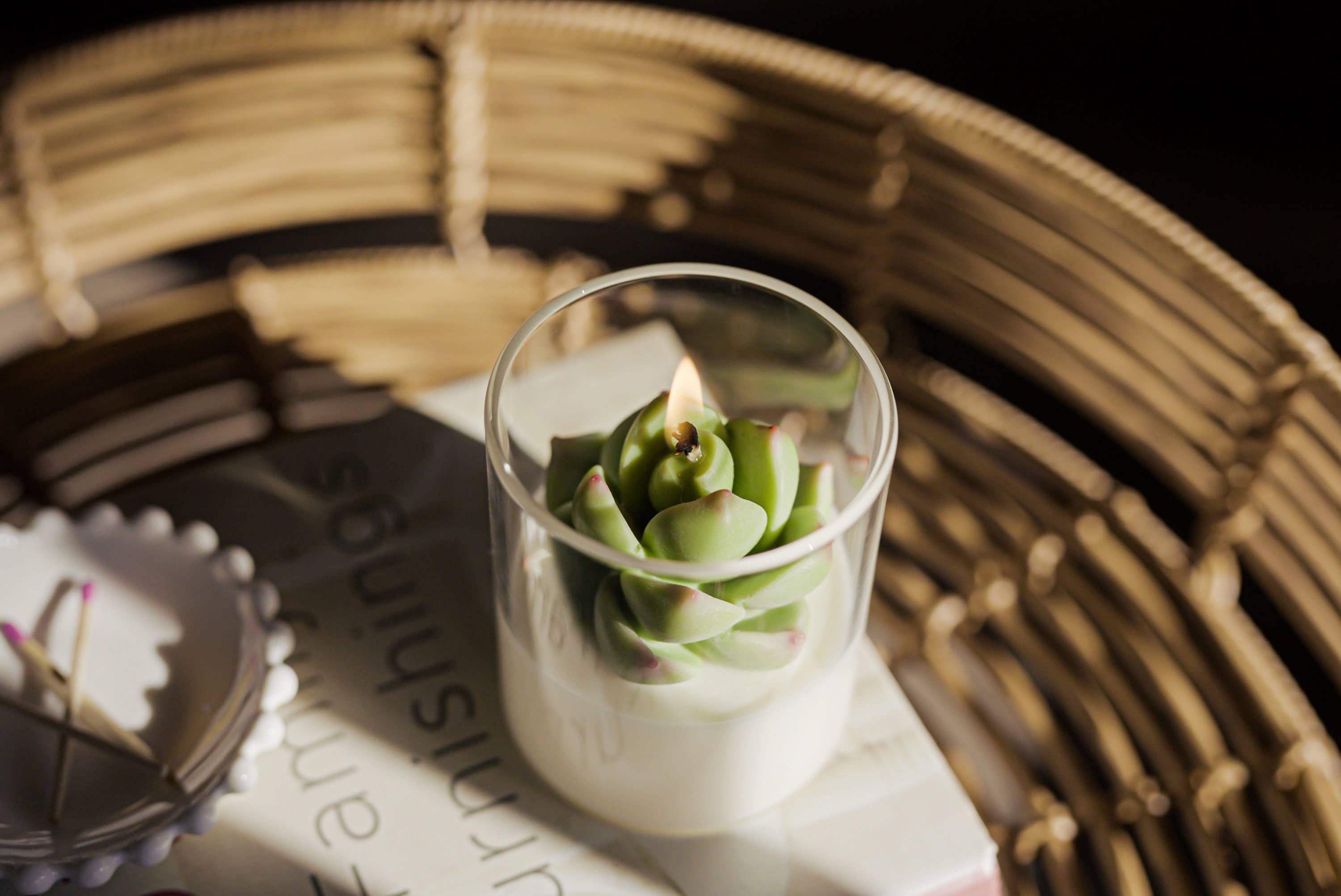 Succulent Soy Candle | Soy Blend