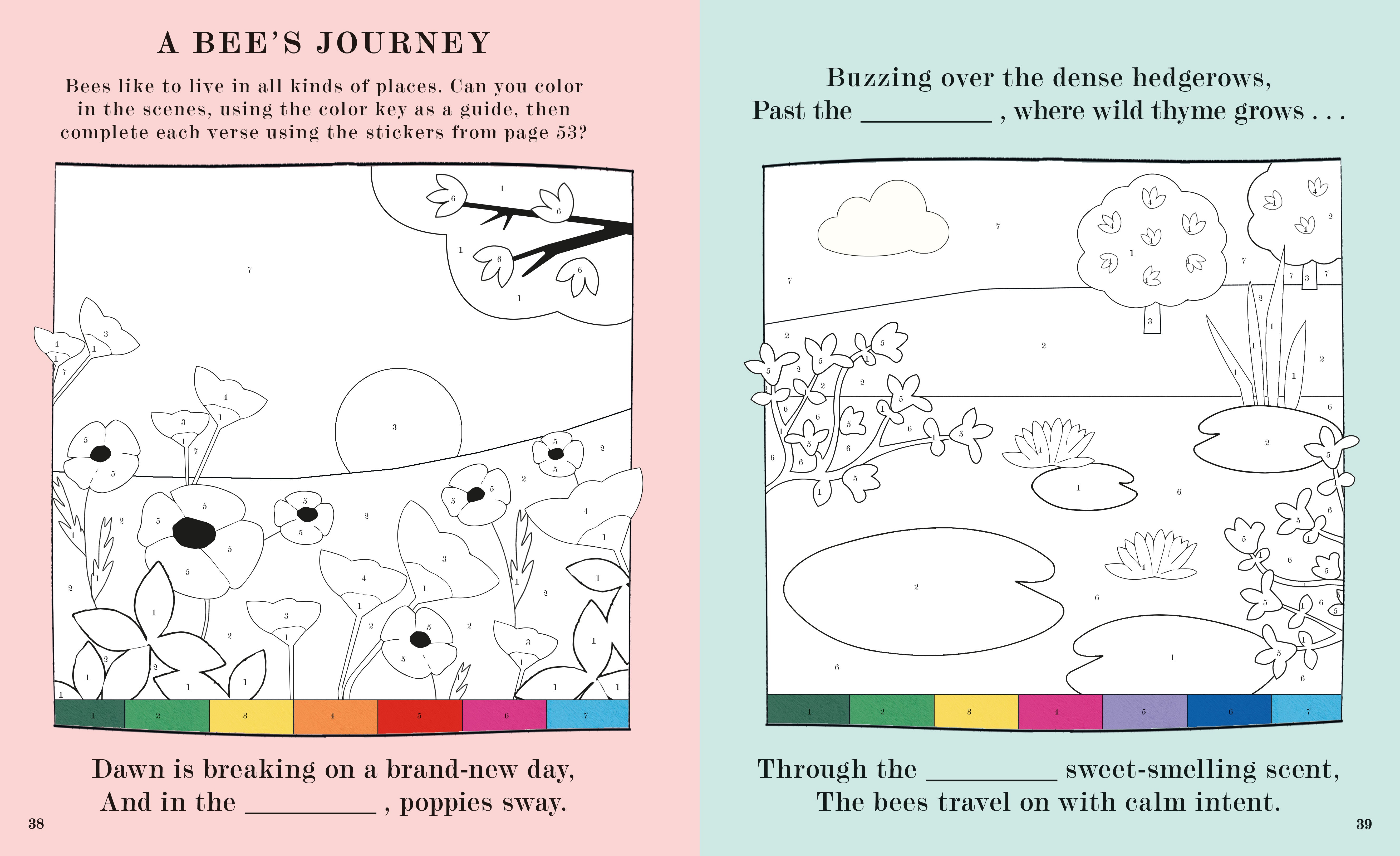 Bee: A Peek-Through Activity Book