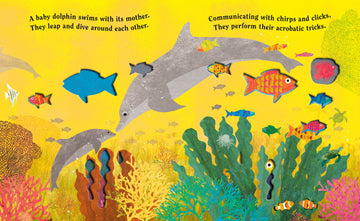 Ocean: A Peek-Through Board Book - Bright yellow board book spread with colorful marine animals, coral, and playful dolphins.